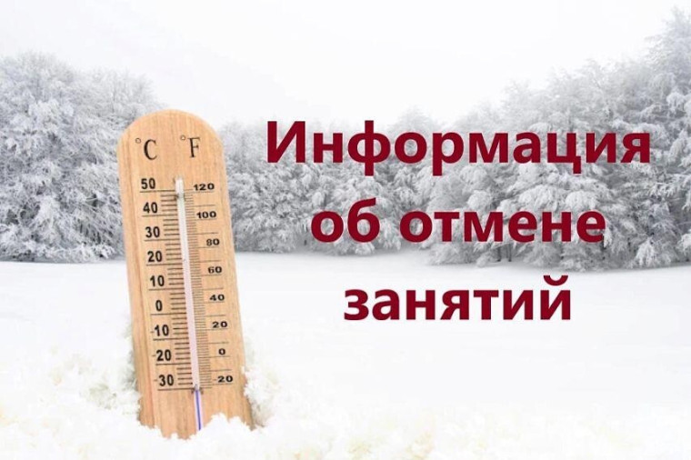 Отмена занятий в школах 8 декабря.